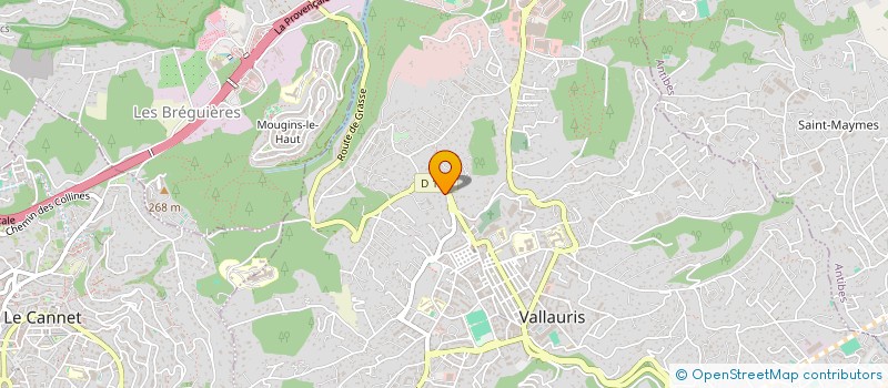 localisation de l'entreprise MONSIEUR DAVID ROSA RICO  VALLAURIS