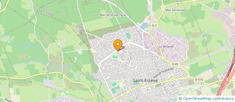 localisation de l'entreprise MONSIEUR DAVID ROSELLINI  SAINT-ESTEVE