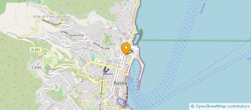 localisation de l'entreprise MONSIEUR DAVID ROSSI  BASTIA
