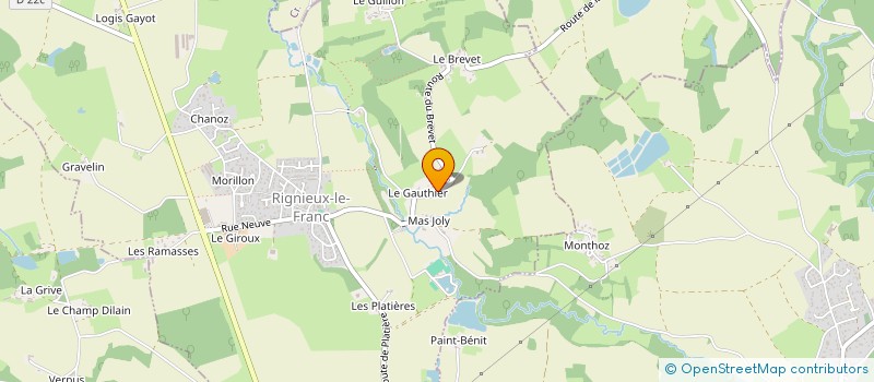 localisation de l'entreprise MONSIEUR DAVID ROUAT  RIGNIEUX-LE-FRANC