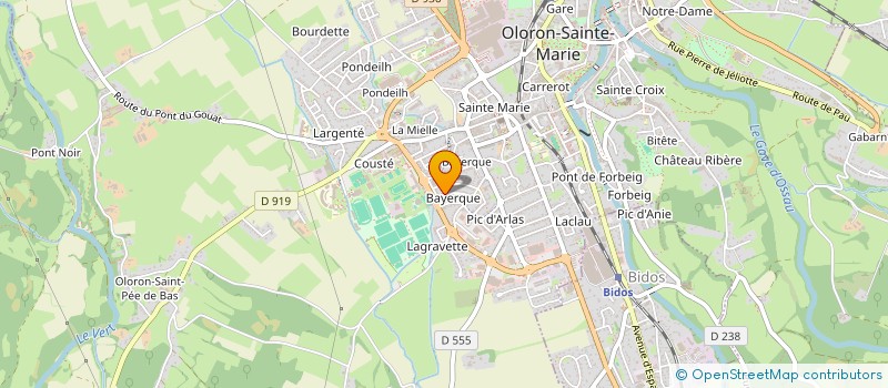 localisation de l'entreprise MONSIEUR DAVID SAINT-PAUL à OLORON-SAINTE-MARIE