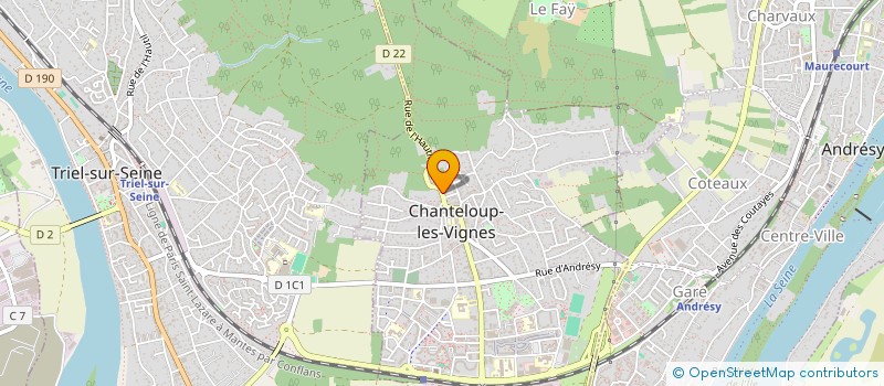 localisation de l'entreprise MONSIEUR DAVID SALAUN  CHANTELOUP-LES-VIGNES