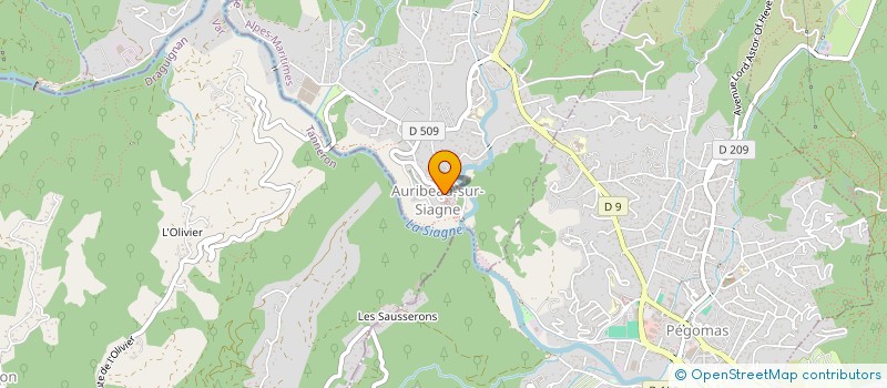 localisation de l'entreprise MONSIEUR DAVID SCHMITT à AURIBEAU-SUR-SIAGNE