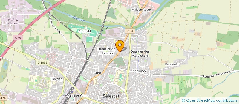 localisation de l'entreprise MONSIEUR DAVID SCHOTT  SELESTAT