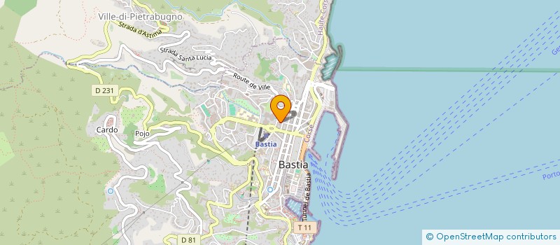 localisation de l'entreprise MONSIEUR DAVID SEDDAS à BASTIA