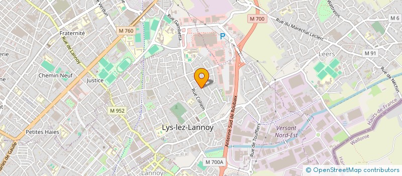 localisation de l'entreprise MONSIEUR DAVID SELOSSE  LYS-LEZ-LANNOY