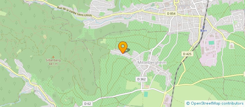 localisation de l'entreprise MONSIEUR DAVID SELTZ  MITTELBERGHEIM