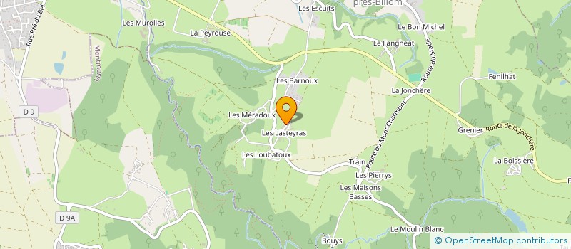 localisation de l'entreprise MONSIEUR DAVID SENGER  EGLISENEUVE-PRES-BILLOM