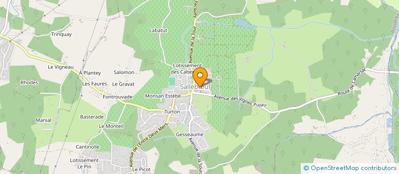 localisation de l'entreprise MONSIEUR DAVID SEUBE  SALLEBUF