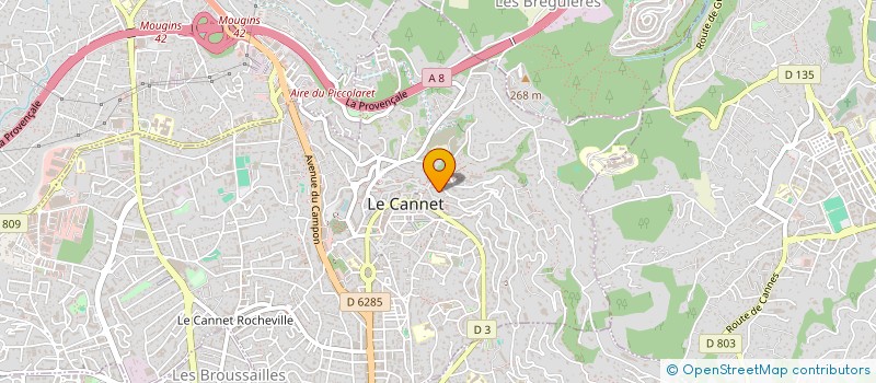 localisation de l'entreprise MONSIEUR DAVID SHILLER à LE CANNET