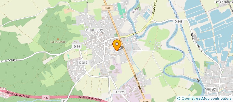 localisation de l'entreprise MONSIEUR DAVID SILVA  APPOIGNY