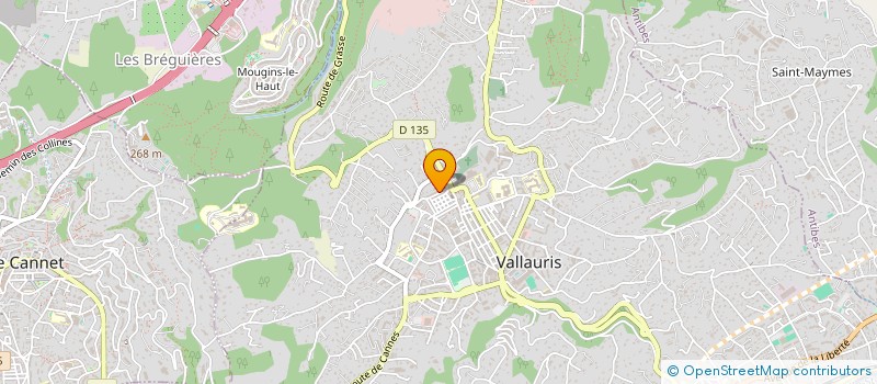 localisation de l'entreprise MONSIEUR DAVID SOARES  VALLAURIS