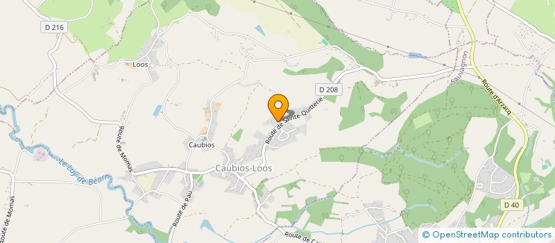 localisation de l'entreprise MONSIEUR DAVID STEINBACH  LESCAR