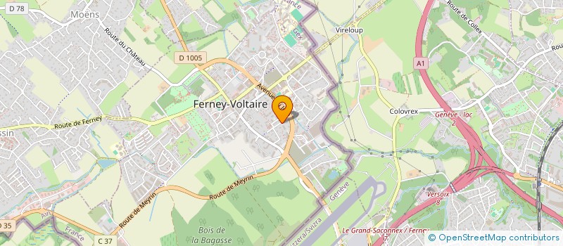 localisation de l'entreprise MONSIEUR DAVID SUNDERLAND à FERNEY-VOLTAIRE