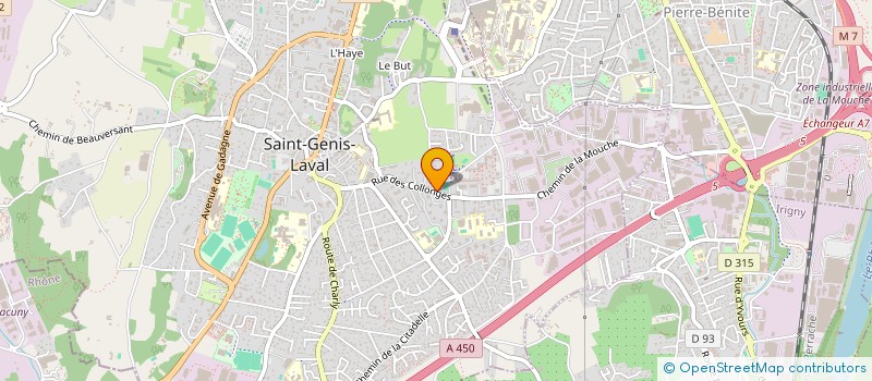 localisation de l'entreprise MONSIEUR DAVID TAM-IM  SAINT-GENIS-LAVAL