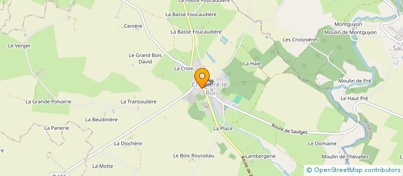 localisation de l'entreprise MONSIEUR DAVID THEILLAY à CHEMERE-LE-ROI