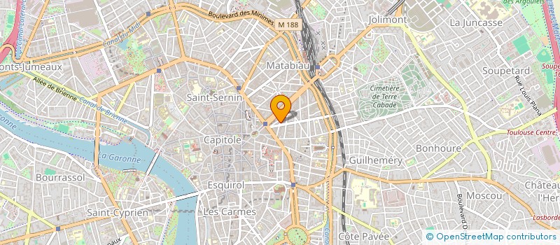 localisation de l'entreprise MONSIEUR DAVID THOMAS à TOULOUSE