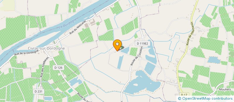 localisation de l'entreprise MONSIEUR DAVID THOMASSON  SAINT-PEY-DE-CASTETS