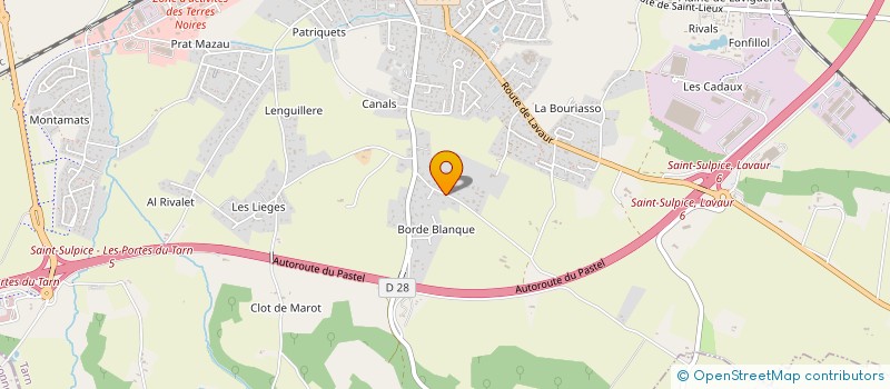 localisation de l'entreprise MONSIEUR DAVID TONON à SAINT-SULPICE-LA-POINTE