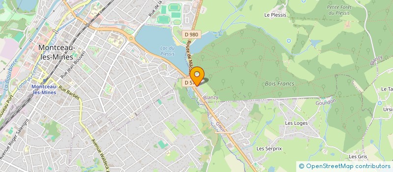 localisation de l'entreprise MONSIEUR DAVID TRICHARD  BLANZY