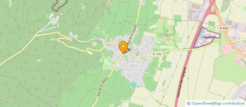 localisation de l'entreprise MONSIEUR DAVID VEIDT  KINTZHEIM