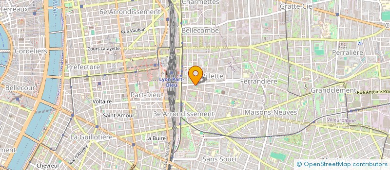 localisation de l'entreprise MONSIEUR DAVID VEIGA  LYON