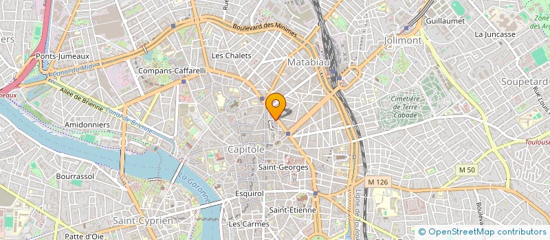 localisation de l'entreprise MONSIEUR DAVID VIER à TOULOUSE