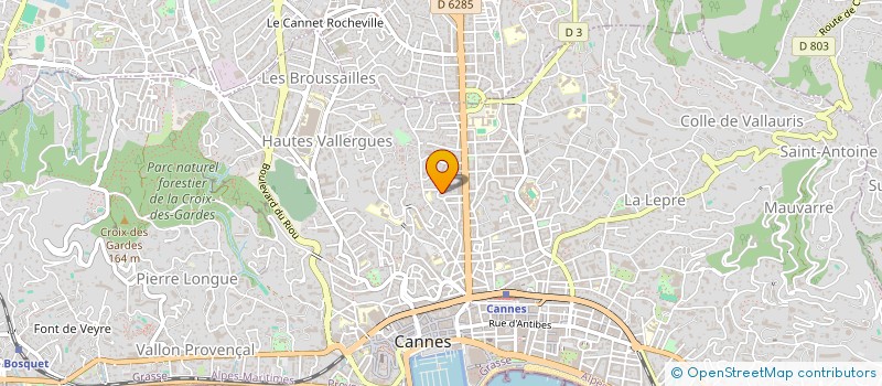 localisation de l'entreprise MONSIEUR DAVID VIGO ALTHAUS  CANNES