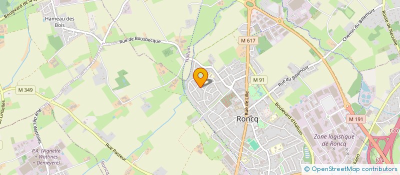 localisation de l'entreprise MONSIEUR DAVID WILS  RONCQ