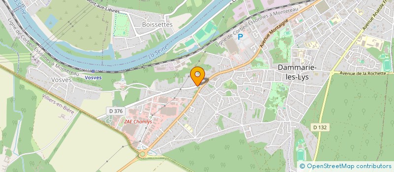 localisation de l'entreprise MONSIEUR DAVID ZIEMBINSKI à DAMMARIE-LES-LYS