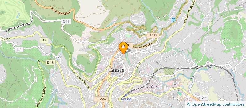 localisation de l'entreprise MONSIEUR DAVID ZIRAH  GRASSE