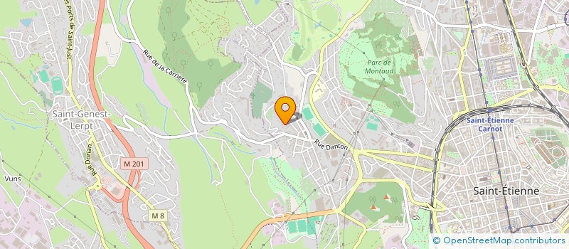 localisation de l'entreprise MONSIEUR DAVUD SAKARYA  SAINT-ETIENNE