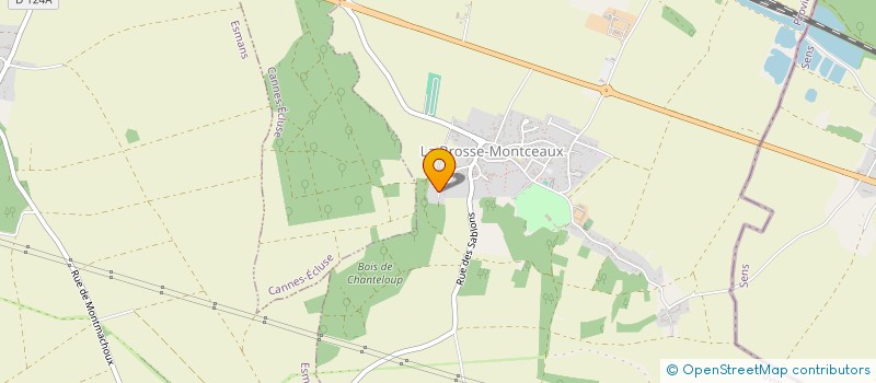 localisation de l'entreprise MONSIEUR DAVY NOYON  LA BROSSE-MONTCEAUX