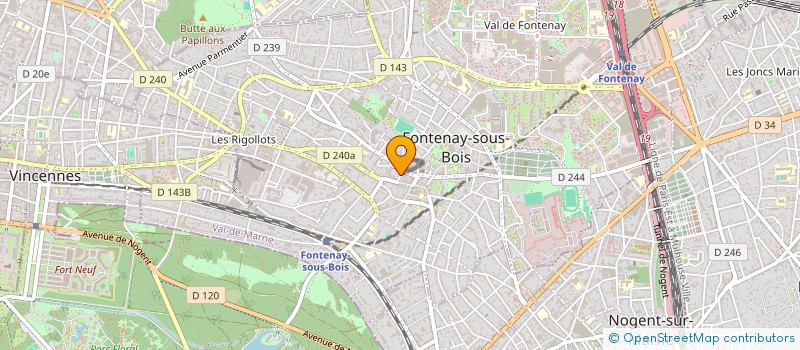 localisation de l'entreprise MONSIEUR DAWOOD SAID à FONTENAY-SOUS-BOIS