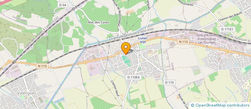 localisation de l'entreprise MONSIEUR DAWSON STEIMBACH à LUNEL-VIEL