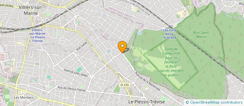 localisation de l'entreprise MONSIEUR DE MATHEUS HENRIQUE  LE PLESSIS-TREVISE