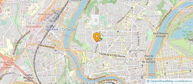 localisation de l'entreprise MONSIEUR DEEPAK SAXENA  LYON