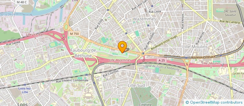 localisation de l'entreprise MONSIEUR DEFFAF MILOUD à LILLE