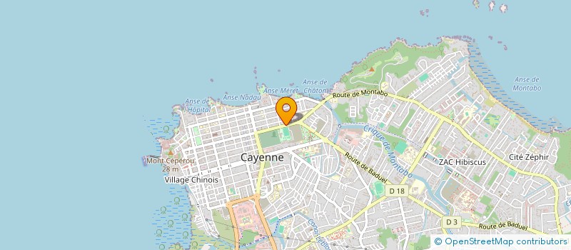 localisation de l'entreprise MONSIEUR DEIVIDY NAVES GARCIA  CAYENNE
