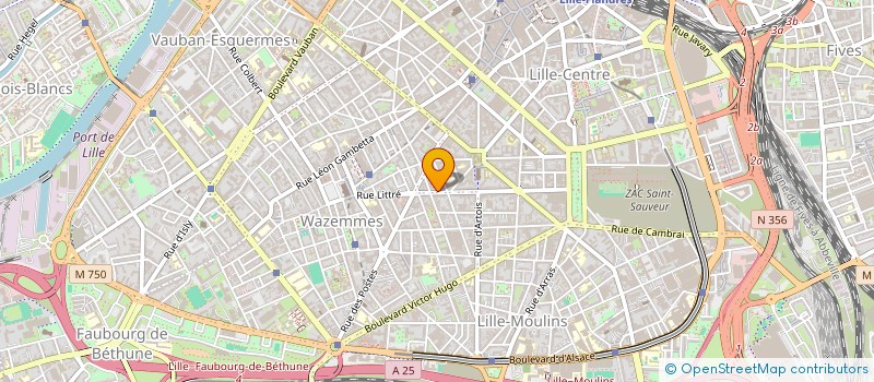 localisation de l'entreprise MONSIEUR DELANNAY MICKAEL à LILLE