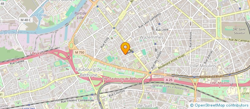 localisation de l'entreprise MONSIEUR DELEMBI SOMYA DIANTELE à LILLE