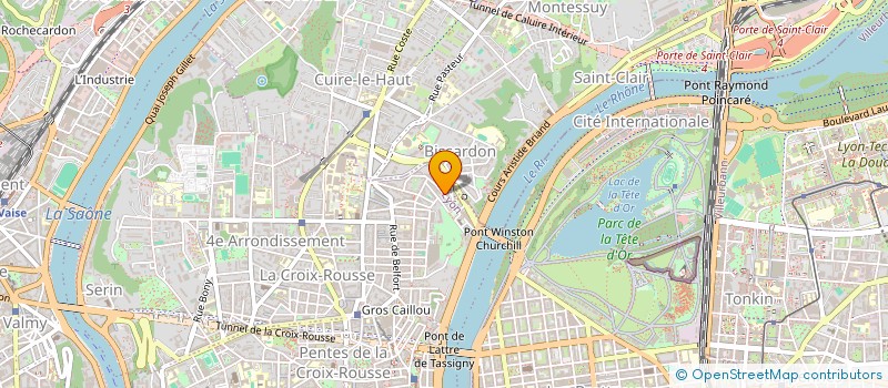 localisation de l'entreprise MONSIEUR DELIAN NESHEV à LYON