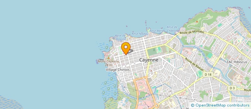 localisation de l'entreprise MONSIEUR DELMINO CANARIO à CAYENNE
