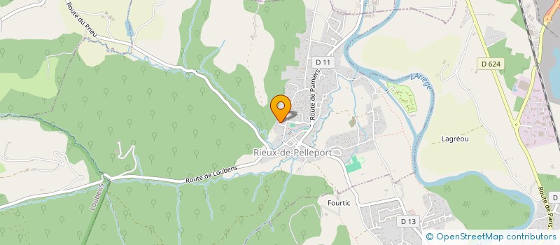 localisation de l'entreprise MONSIEUR DELSONE RENARD à RIEUX-DE-PELLEPORT