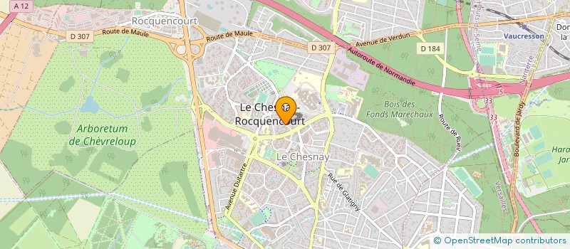 localisation de l'entreprise MONSIEUR DEMBA SACKO  LE CHESNAY-ROCQUENCOURT