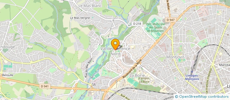 localisation de l'entreprise MONSIEUR DEMIR DEMIRALI  LIMOGES