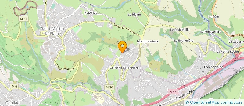 localisation de l'entreprise MONSIEUR DEMIS CAPORUSSO à SAINT-MARTIN-LA-PLAINE