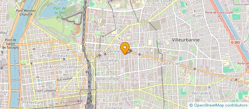 localisation de l'entreprise MONSIEUR DEMURI NARIMANOVI  VILLEURBANNE