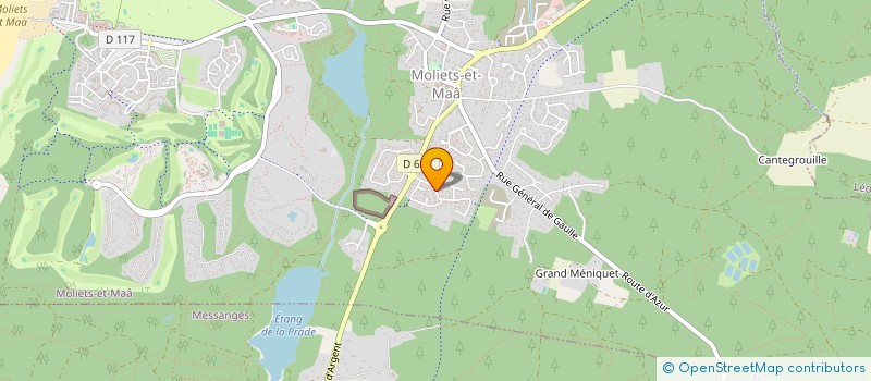 localisation de l'entreprise MONSIEUR DENIS BAILLOU  MOLIETS-ET-MAA