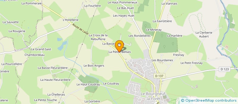 localisation de l'entreprise MONSIEUR DENIS BESSIERRE à LE BOURGNEUF-LA-FORET